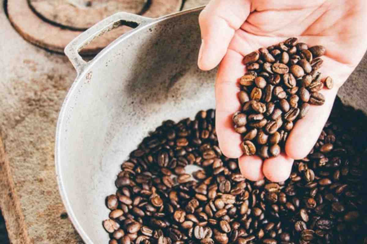 Кофе в зернах — что о нем нужно знать